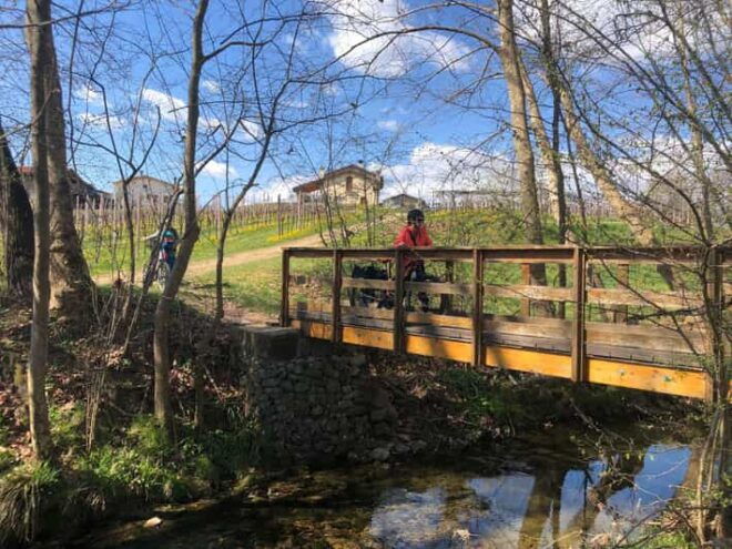 Valdobbiadene: Bike Rental and Prosecco Tasting - Safety and Accessibility