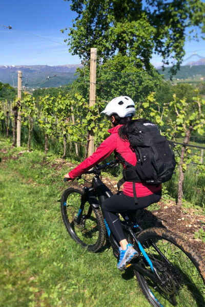 Valdobbiadene: Bike Rental and Prosecco Tasting - Frequently Asked Questions