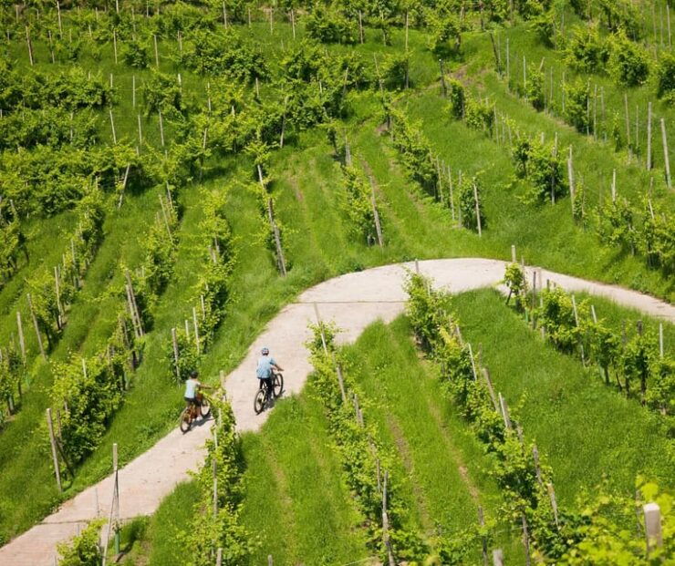 Valdobbiadene: E-Bike Bliss on the Prosecco Hills - Itinerary Highlights