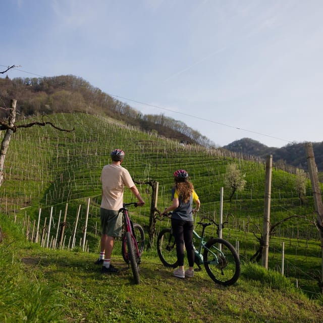 Valdobbiadene: E-Bike Bliss on the Prosecco Hills - Unique Experiences
