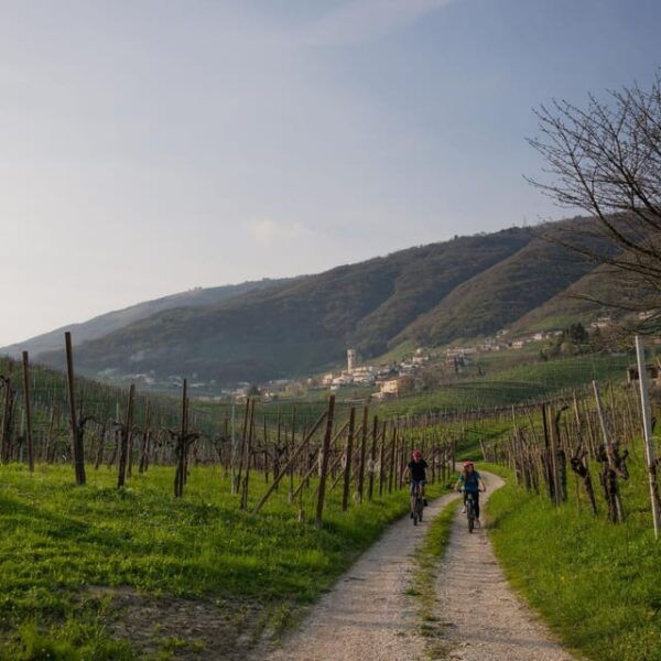 Valdobbiadene: E-Bike Bliss on the Prosecco Hills - Frequently Asked Questions
