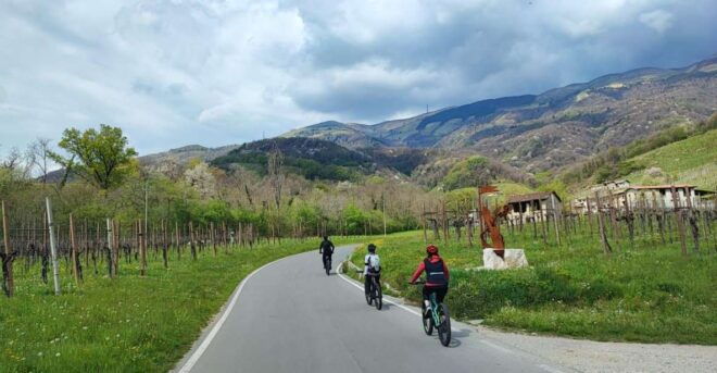 Valdobbiadene Hills: E-Bike Tour With Food&Wine Tasting - Experience