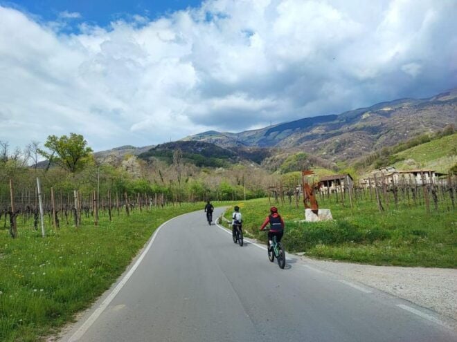 Valdobbiadene Hills: E-Bike Tour With Food&Wine Tasting - The Sum Up