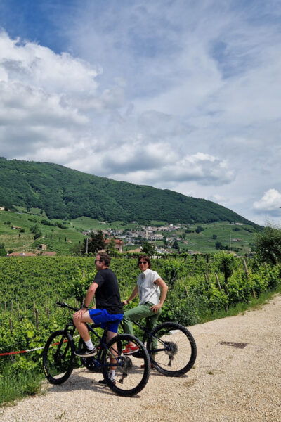 Valdobbiadene: Prosecco Express Wine Tasting and E-Bike Tour - Important Participant Information