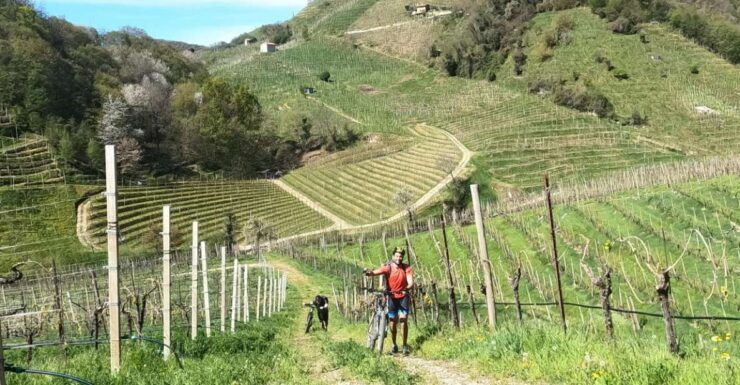Valdobbiadene - Prosecco Hills Cycling With Sommelier - Good To Know
