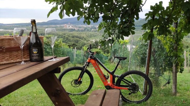Valdobbiadene - Prosecco Hills Cycling With Sommelier - Experience Highlights