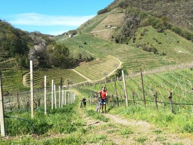 Valdobbiadene - Prosecco Hills Cycling With Sommelier - UNESCO World Heritage Site Visit