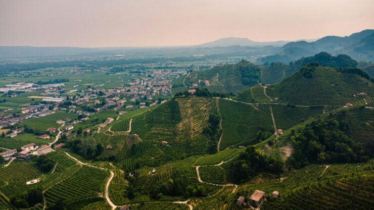Valdobbiadene: Prosecco Private Tour & Taste With Sommelier - Good To Know