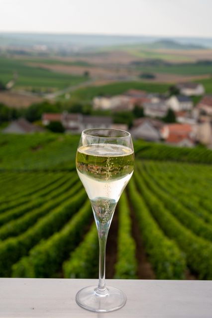 Valdobbiadene: Prosecco Private Tour & Taste With Sommelier - Tour Details