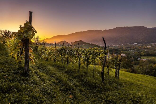 Valdobbiadene: Prosecco Private Tour & Taste With Sommelier - Important Information