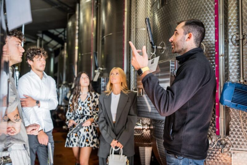 Valdobbiadene: Prosecco Tasting Experience - Discovering Valdobbiadene: What Makes This Tour Special