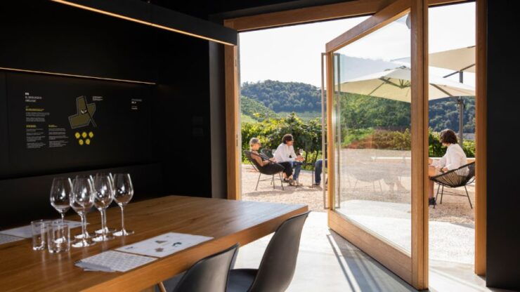 Valdobbiadene: Prosecco Tasting, Winery and Vineyard Tours - Experience Details