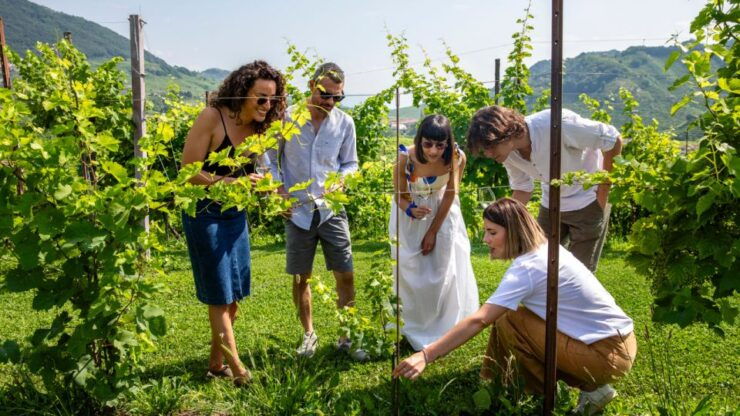 Valdobbiadene: Prosecco Tasting, Winery and Vineyard Tours - Highlights