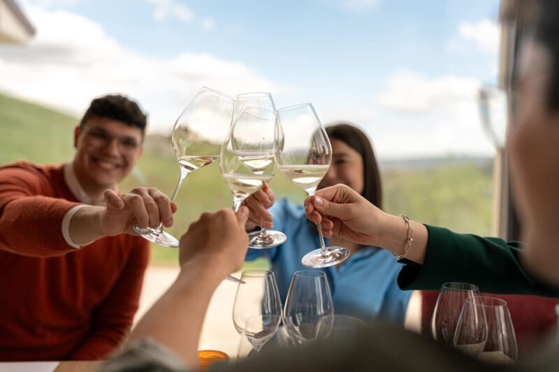 Valdobbiadene: Prosecco tasting with winery & vineyard tour - Good To Know