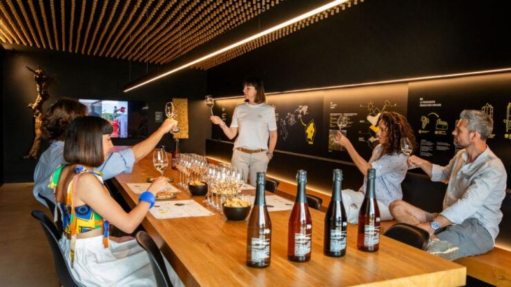 Valdobbiadene: Prosecco Wine Tasting - Tour Details