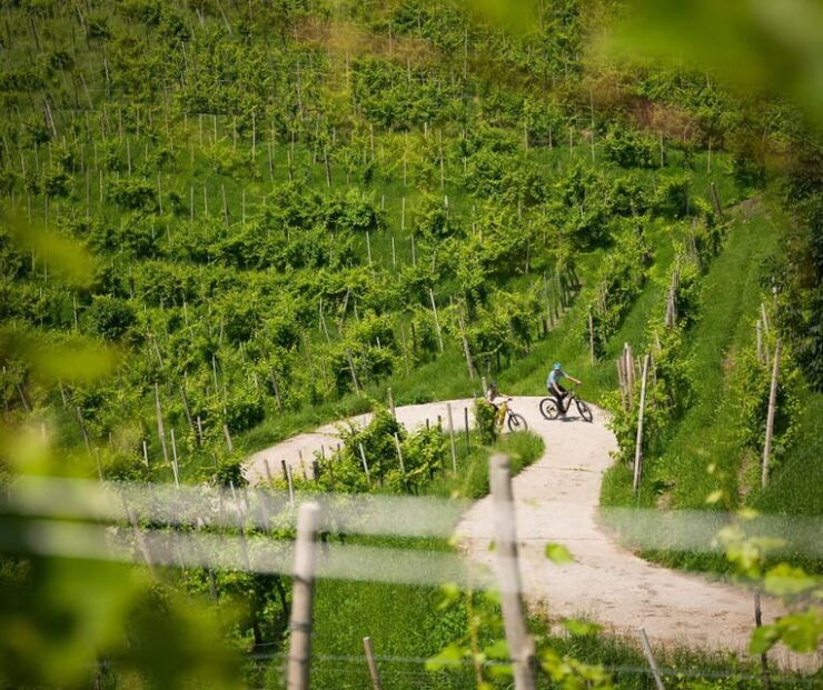 Valdobbiadene: Self-Guided E-Bike Tour in the Prosecco Hills - Good To Know
