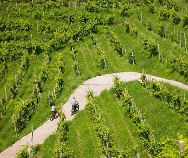 Valdobbiadene: Self-Guided E-Bike Tour in the Prosecco Hills - Included Features