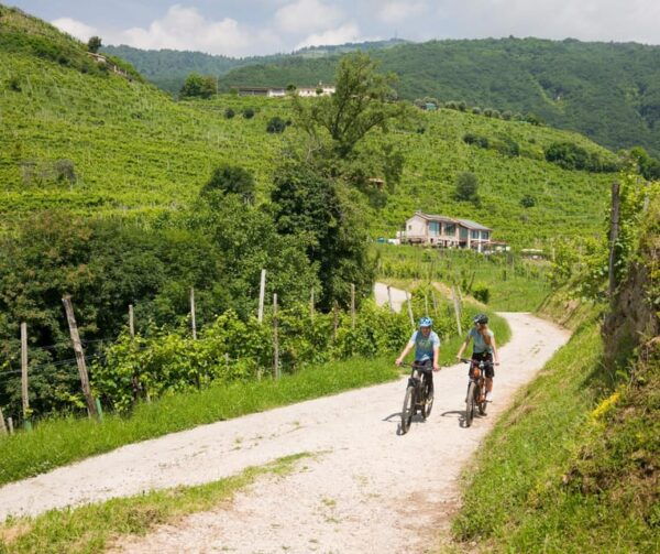 Valdobbiadene: Self-Guided E-Bike Tour in the Prosecco Hills - Scenic Ride Through Vineyards