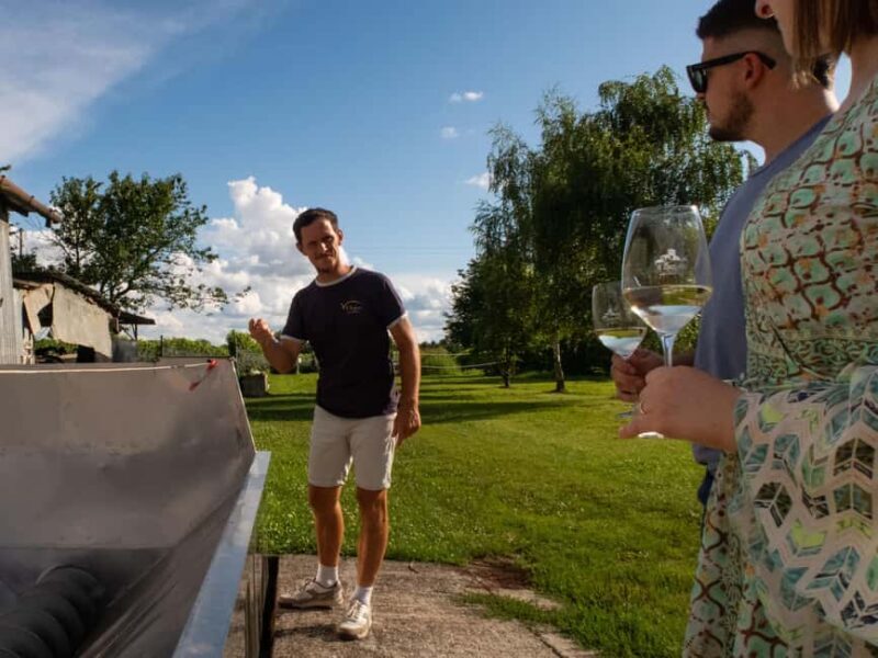 Valdobbiadene - Visit to the winery and tasting of DOCG Superiore wines - Good To Know