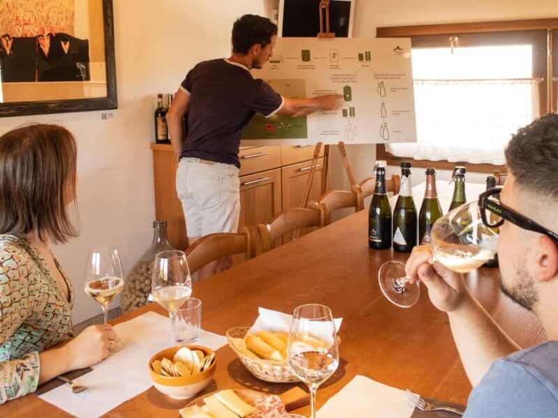 Valdobbiadene - Visit to the winery and tasting of DOCG Superiore wines - Final Thoughts