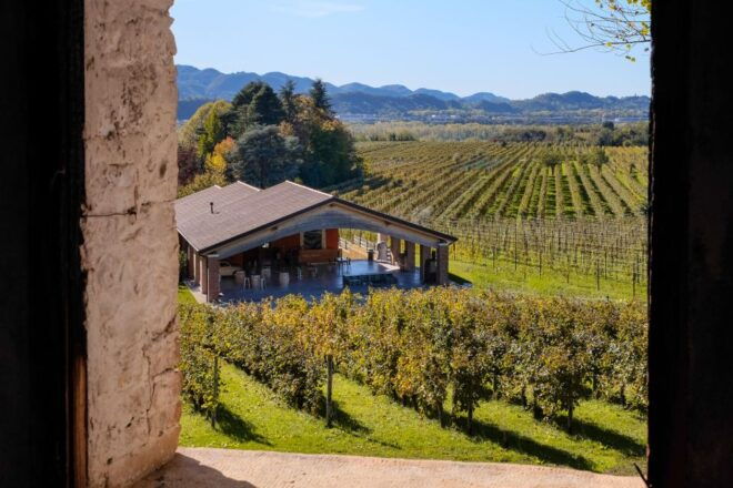 Valdobbiadene: Winery Tour With Wine and Food Tasting - Reservation and Important Information