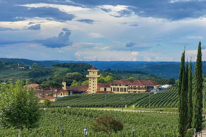 Vale Dos Vinhedos Private Tour From Porto Alegre or Gramado - Booking Process and Flexibility