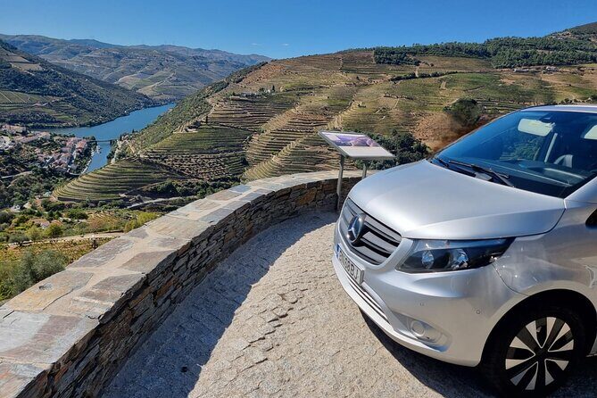 VALE DOURO: Luxury Private Wine Tour, Winery Tour and Cruise - Who Should Consider This Tour?