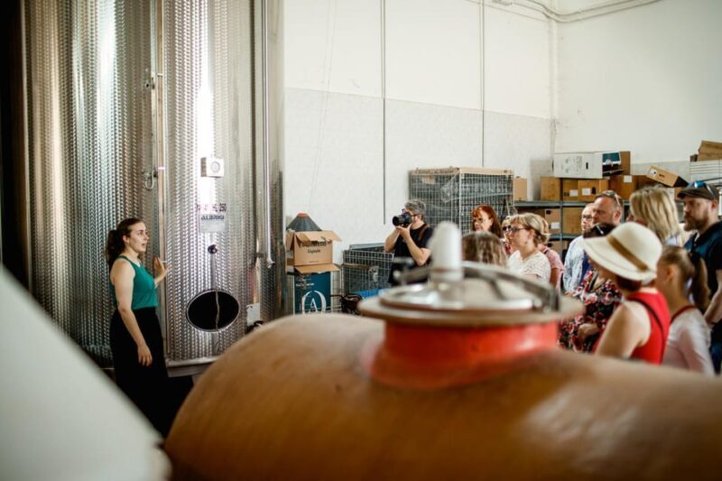 Valeggio: "Perlage d'Autore," bubbles of excellence and guided tour - An In-Depth Look at the "Perlage dAutore" Experience