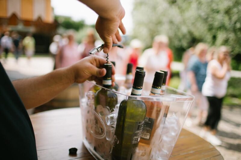 Valeggio: Summer Sips - 3 young wines with guided winery tour. - An In-Depth Look at the Tour Experience