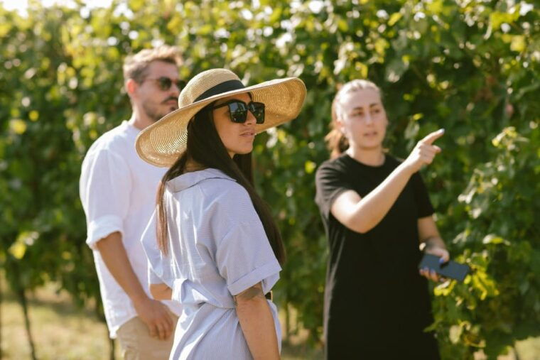 Valeggio: The Soul of the Territory in 5 Wines and Guided Winery Tour - A Journey Through the Vineyard