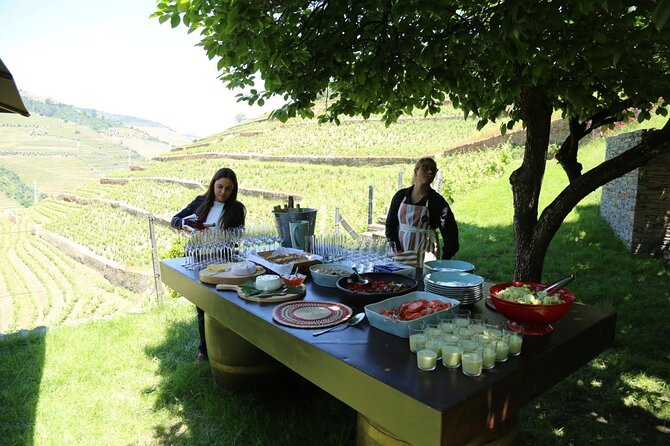 Valença Do Douro Walking Tour - Pricing and Inclusions