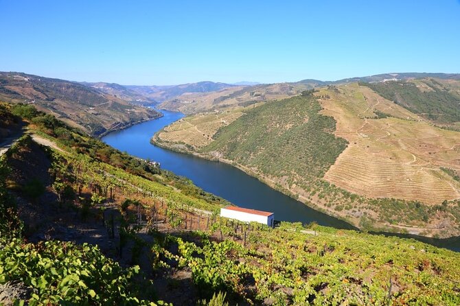 Valença Do Douro Walking Tour - Traveler Photos