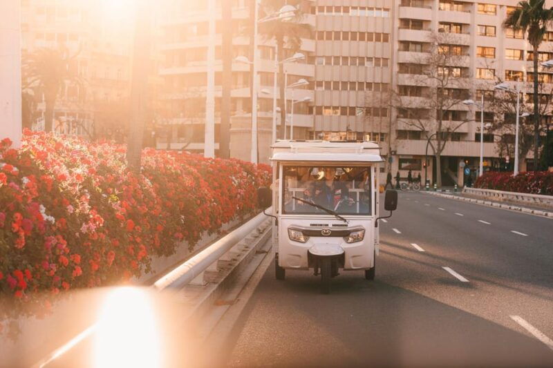 Valencia 1 Hour by Tuktuki: Essential and Private Tour - Good To Know