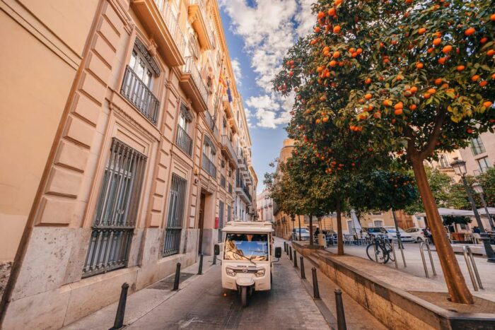 Valencia 1 Hour by Tuktuki: Essential and Private Tour - Discovering Malvarrosa and Las Arenas Beaches