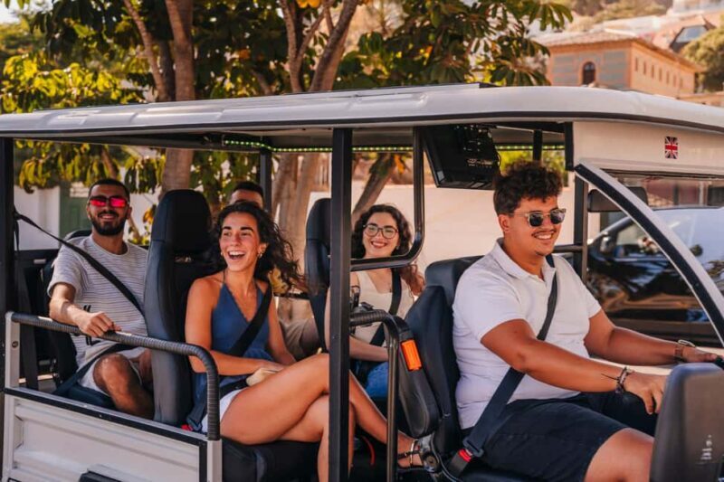 Valencia: 1-hour Private Tuk Tuk Tour - What To Expect on the Tour