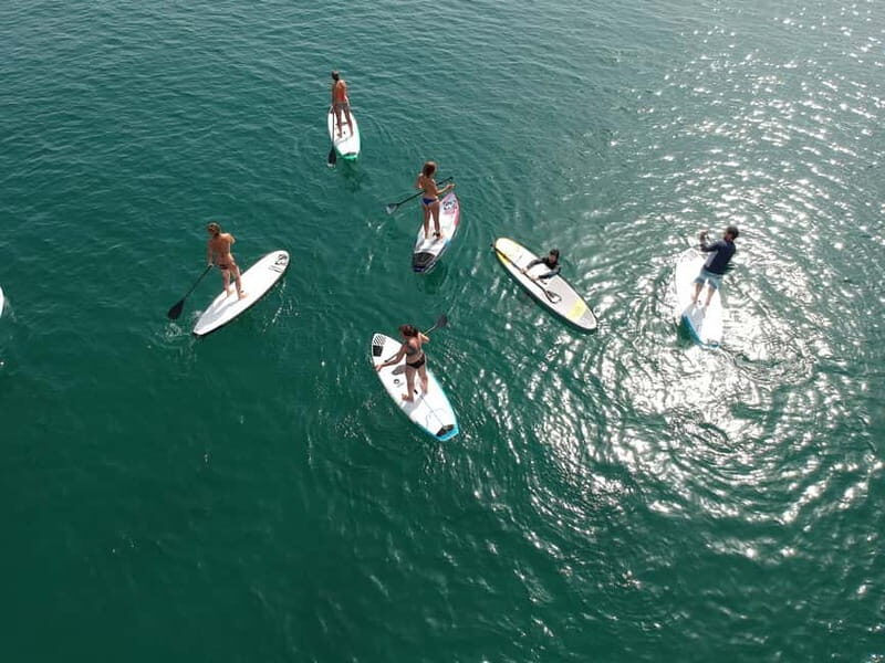 Valencia: 1 Hour Stand Up Paddle Board Lesson - What to Expect from Your Valencia SUP Lesson