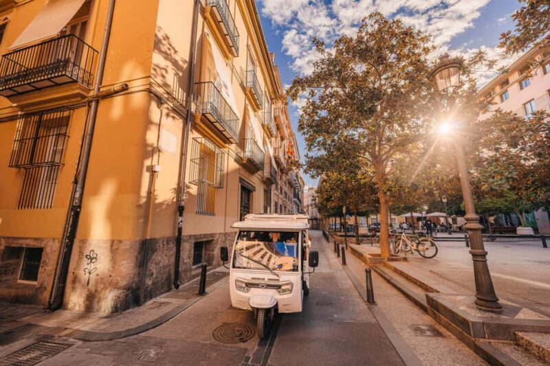 Valencia: 2-hour City Highlights Guided Tour by Tuk Tuk - An In-Depth Look at the Valencia Tuk Tuk Tour