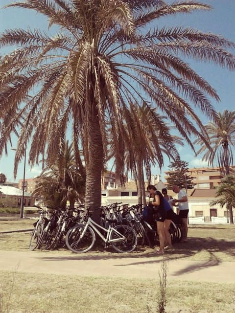 Valencia: 3-Hour City Bike Tour - Inclusions