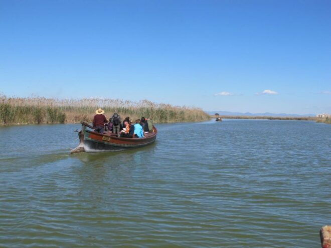 Valencia: 48-Hour Hop-On-Hop-Off Bus & Albufera Bus Tour - Frequently Asked Questions