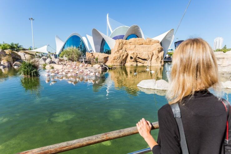 Valencia: 48-Hour Hop-On-Hop-Off Bus & Oceanogràfic Ticket - Itinerary Highlights