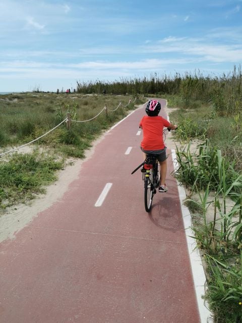 Valencia: Albufera Natural Park Bike and Boat Tour - Activity Information