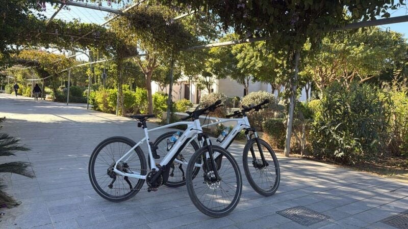 Valencia All in One: Beaches, Old Town & City Arts by E-Bike - Good To Know