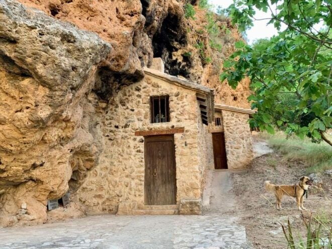 Valencia: Amazing River Route by the Friar River Canyon - Inclusions