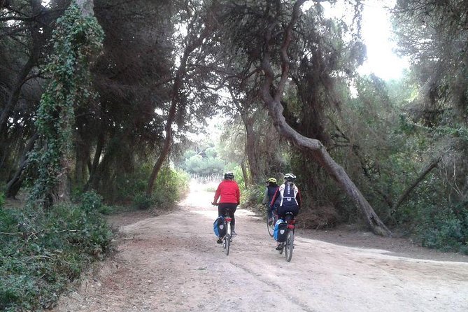 Valencia Bike or Segway Tour - Tour Overview