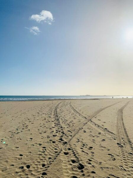 Valencia: Bike Tour: From the City Center to Maritim Towns - Frequently Asked Questions