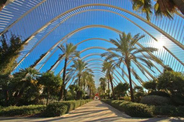 Valencia: Bike Tour of the Emblematic Sites of Valencia €25 - Exploring Turia Gardens and Central Market