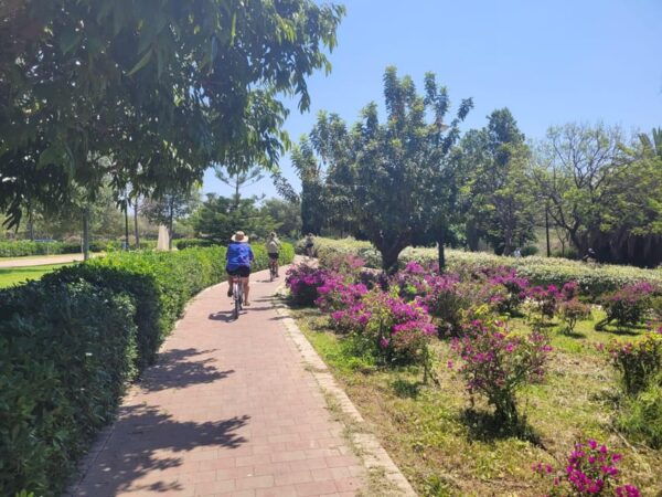 Valencia, Biketour of All the City With a Local Guide - Important Information