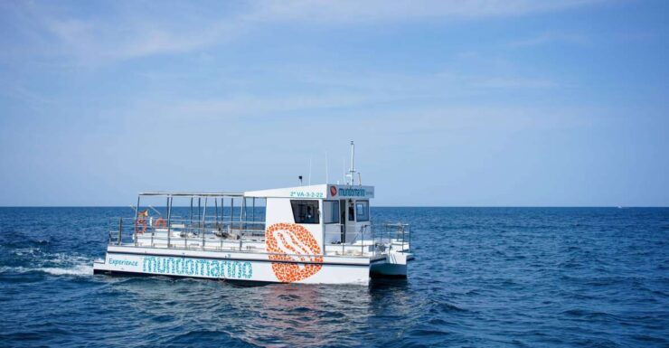 Valencia: Boat Tour With Swim Stop - Good To Know