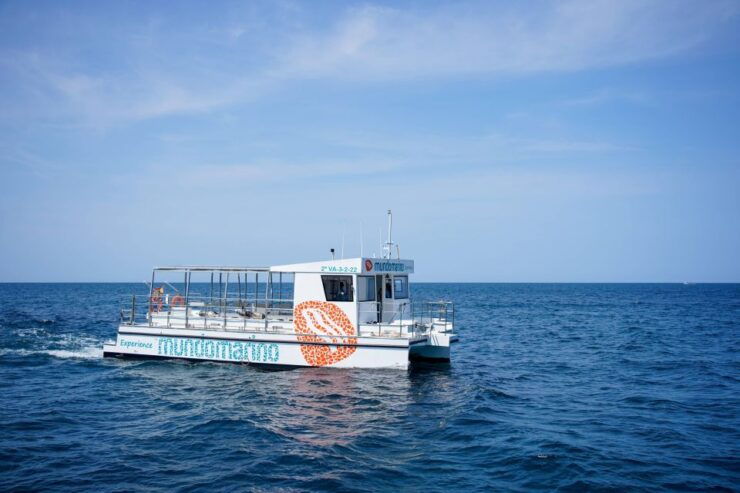 Valencia: Boat Tour With Swim Stop - Booking Information