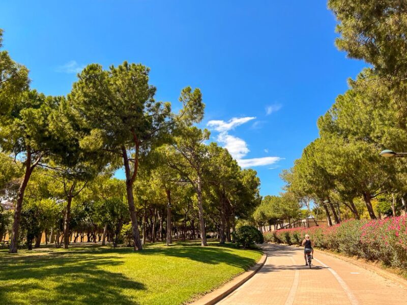 Valencia: City Highlights Bike Tour - Final Thoughts